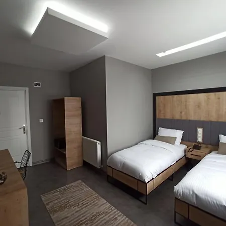 Dedem Express-istanbul Airport-round Trip Airport Service Hotel