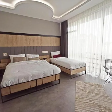 Dedem Express-istanbul Airport-round Trip Airport Service