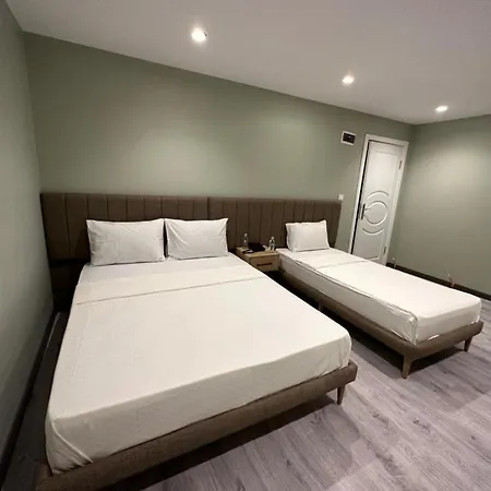 Dedem Express-istanbul Airport-round Trip Airport Service Hotel Arnavutkoy