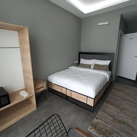 Hotel Dedem Express-istanbul Airport-round Trip Airport Service Arnavutkoy