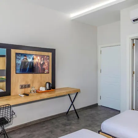 Hotel Dedem Express-istanbul Airport-round Trip Airport Service *