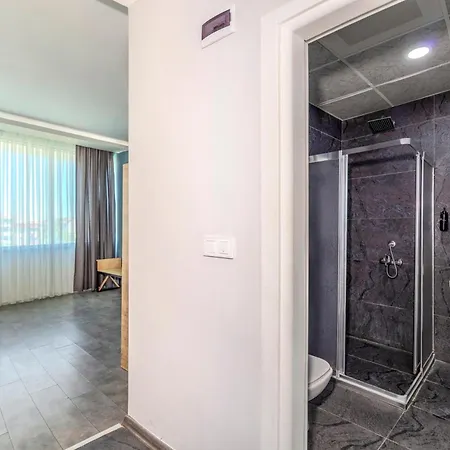 Hotel Dedem Express-istanbul Airport-round Trip Airport Service Arnavutkoy